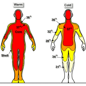 First Aid Cold - Health Safety & Environment